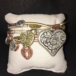 ✨♥️Hearts of Fire Premier Designs Bracelets♥️✨